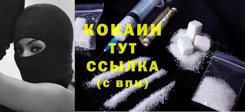 Cocaine Fish Scale  блэк спрут ссылки  Камышлов  где можно купить наркотик 