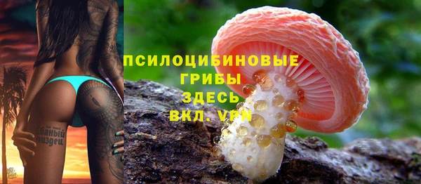 героин Новодвинск