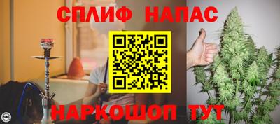 сатива Дубна