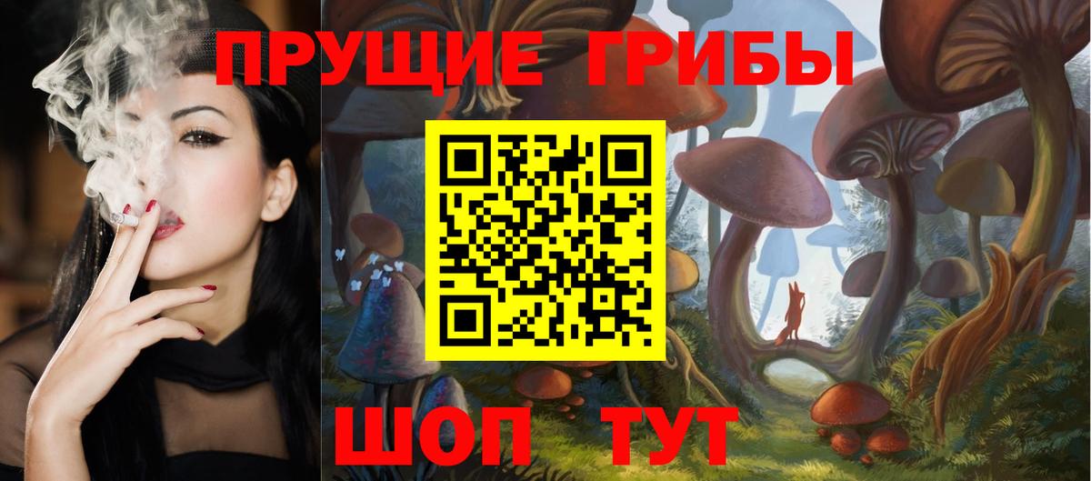 Галлюциногенные грибы Psilocybine cubensis Камышлов