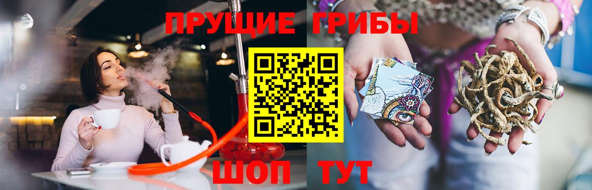 Псилоцибиновые грибы мицелий  купить наркотик  Вход с VPN  Камышлов  Псилоцибиновые грибы ЛСД 