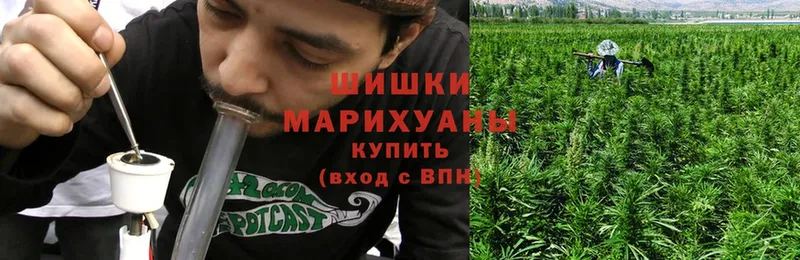 где купить наркоту  Камышлов  Бошки марихуана SATIVA & INDICA 